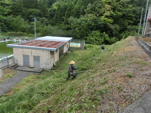 奉仕作業
