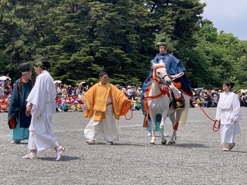 活動