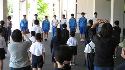全体