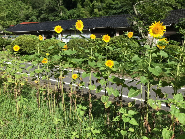 校舎