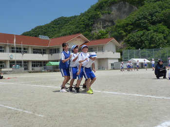 ５．６年２