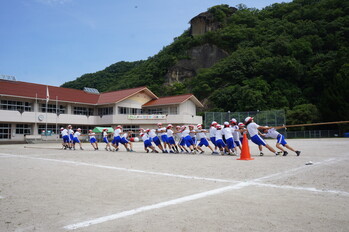 綱引き