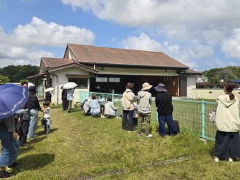 活動
