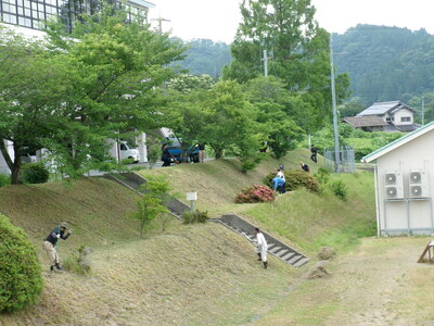 集草１