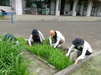 草取り１