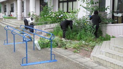 草取り２