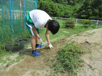 活動