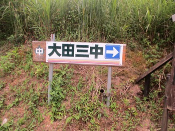 活動