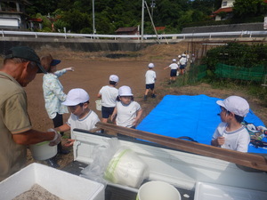 コスモス２