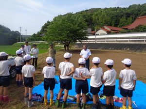 コスモス１