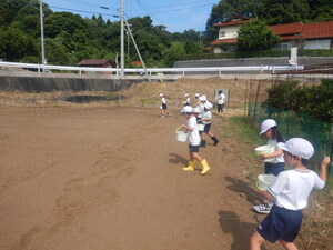 コスモス４
