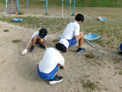 くさとり１