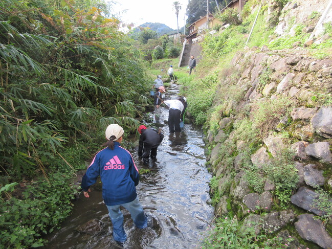 銀山川調査10月