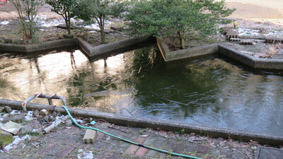 池凍結