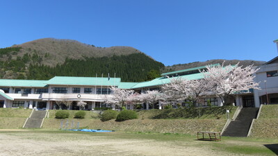 桜と校舎