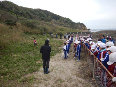 ハマナス5