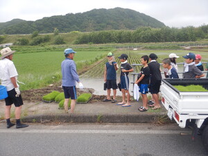 田植え1
