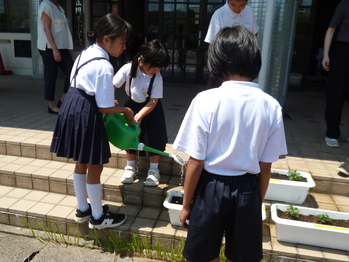 人権の花２
