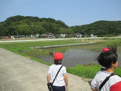 まちたんけん