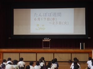 たんぽぽ2