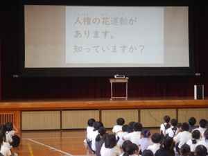 たんぽぽ2