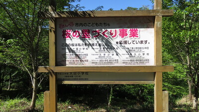 看板
