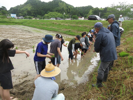 田植え１
