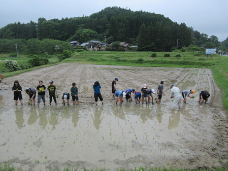 田植え２