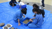 発掘体験