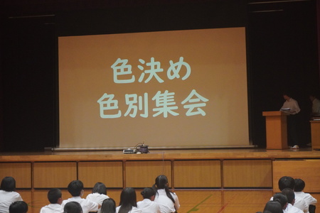 色決め1