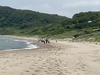 浜マラソン